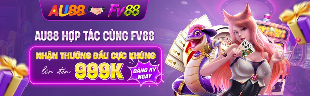 Banner FV88