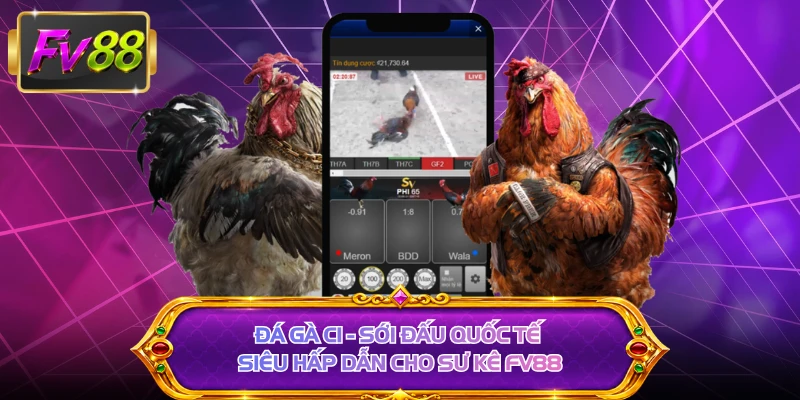 Đá Gà C1 - Sới Đấu Quốc Tế Siêu Hấp Dẫn Cho Sư Kê FV88