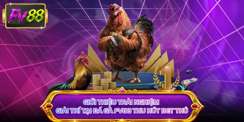 Giới thiệu trải nghiệm giải trí tại đá gà FV88 thu hút bet thủ