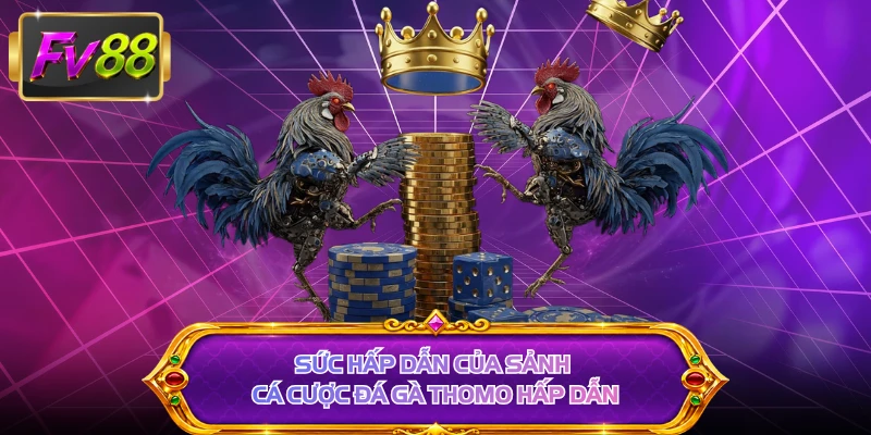 Sức hấp dẫn của sảnh cá cược đá gà thomo hấp dẫn